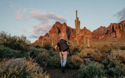 Titre de l’article